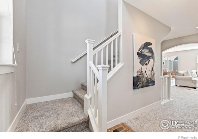 2221 Chesapeake Dr, Fort Collins, CO 80524 - photo 14