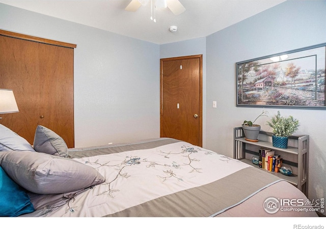 780 S Tyler Ave, Loveland, CO 80537