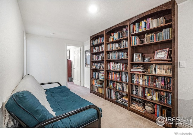 780 S Tyler Ave, Loveland, CO 80537