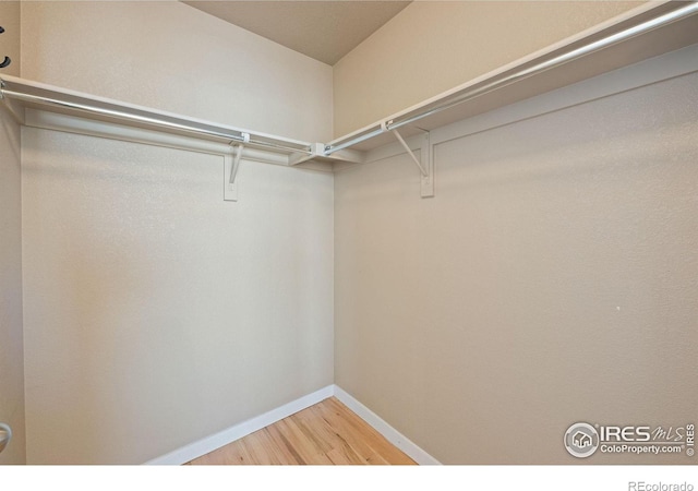 658 Casper Dr, Lafayette, CO 80026 - spacious closet featuring light wood-style floors