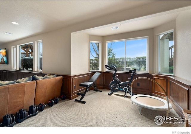7225 Royal Country Down Dr, Windsor, CO 80550 - workout area with carpet flooring, healthy amount of natural light, and wainscoting