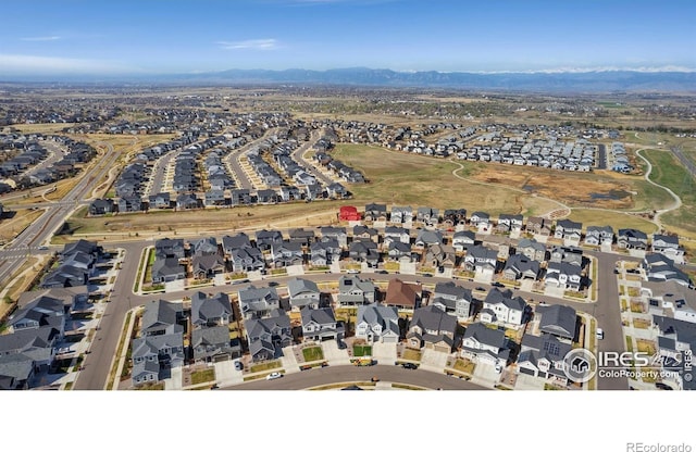 806 Flora View Dr, Erie, CO 80516 - photo 39