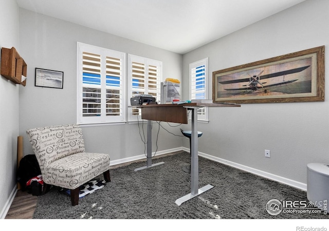 806 Flora View Dr, Erie, CO 80516 - photo 5