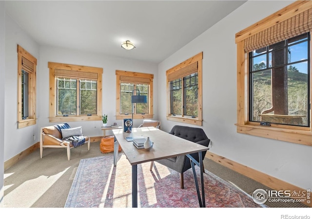 1420 Sierra Dr, Boulder, CO 80302 - carpeted office space with baseboards and a wealth of natural light