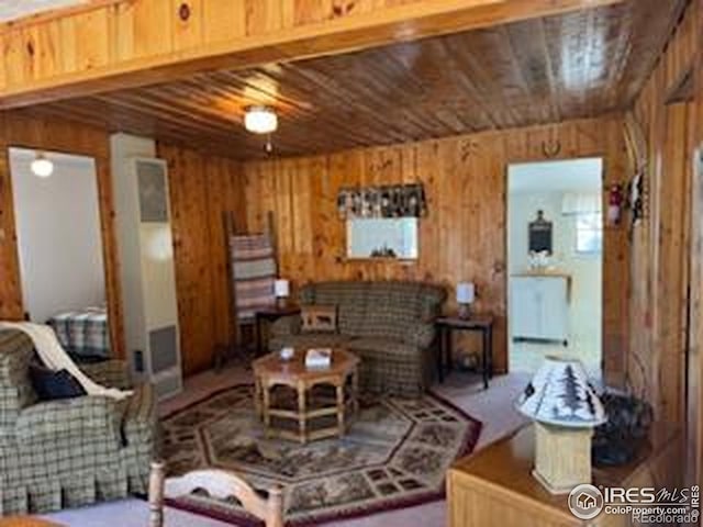 living room featuring wood walls and wood ceiling