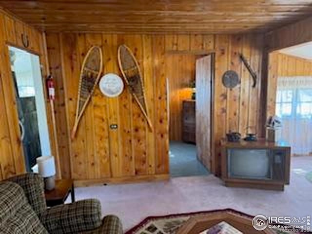 living area with wooden ceiling, wood walls, and carpet