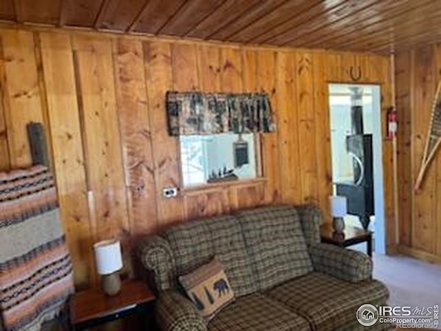 living area with wooden walls, baseboards, wooden ceiling, and carpet