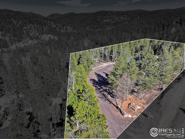 609 Hummer Dr, Nederland, CO 80466 - birds eye view of property with a wooded view and a mountain view