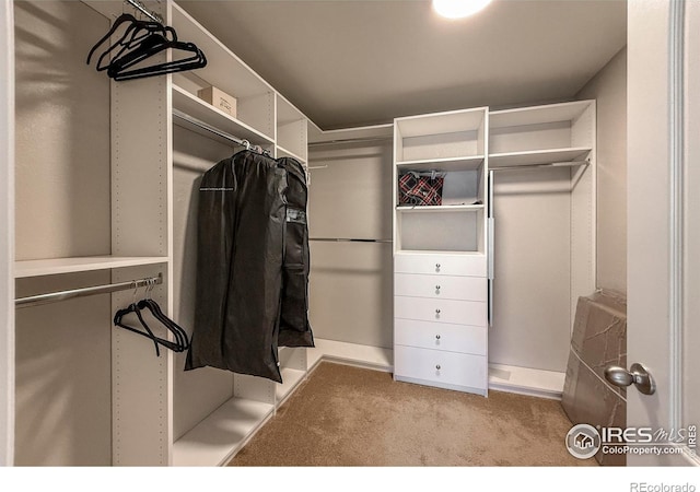 spacious closet with carpet
