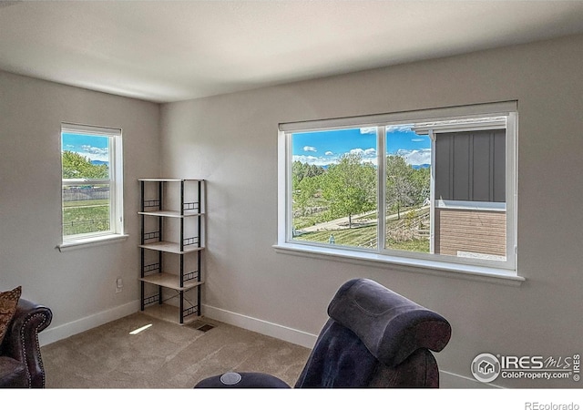 office space featuring baseboards and carpet