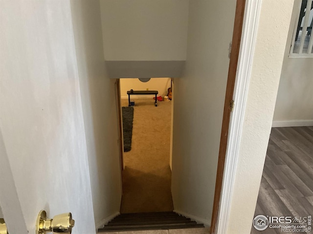 402 Gayle St, Fort Morgan, CO 80701 - photo 18