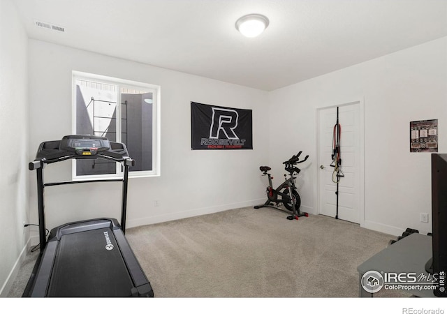 4327 Lacewood Ln, Johnstown, CO 80534 - photo 28