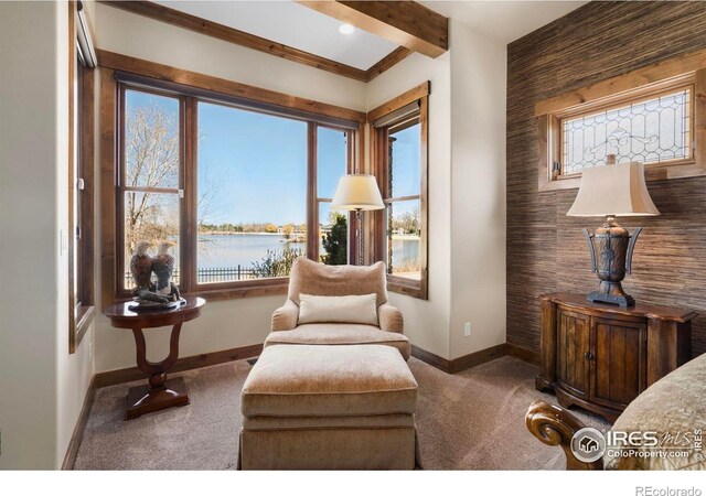 sitting room featuring a water view, baseboards, and carpet floors