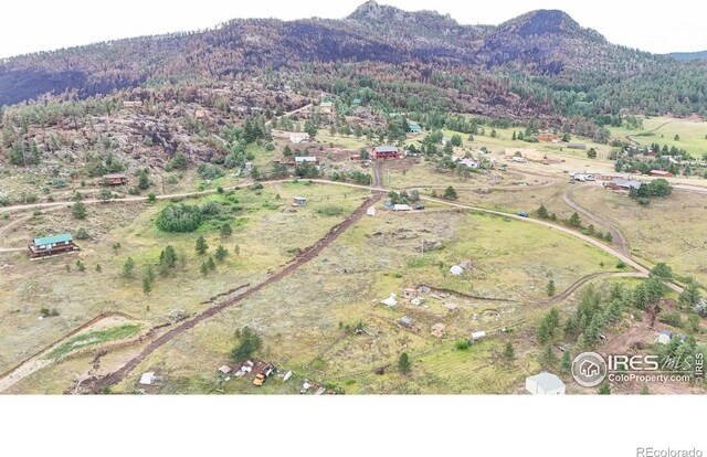 1780 Palisade Mountain Dr, Drake, CO 80515