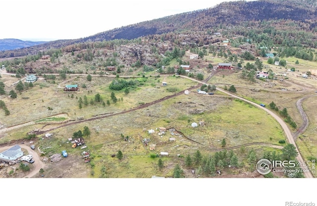1780 Palisade Mountain Dr, Drake, CO 80515