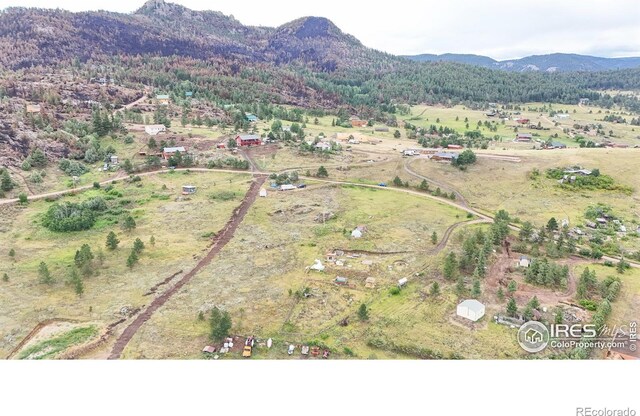 1780 Palisade Mountain Dr, Drake, CO 80515