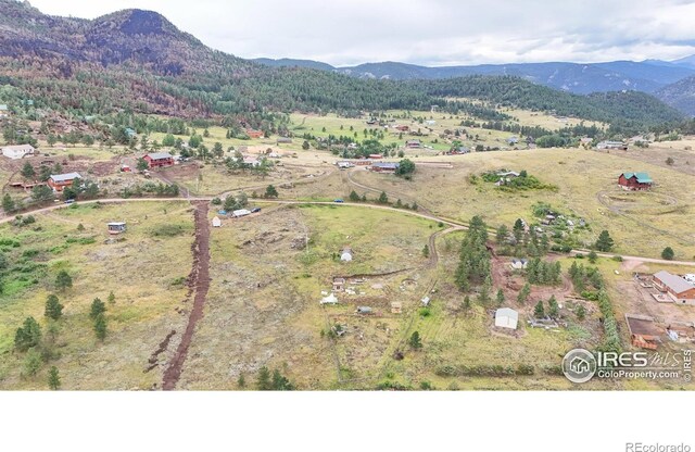 1780 Palisade Mountain Dr, Drake, CO 80515