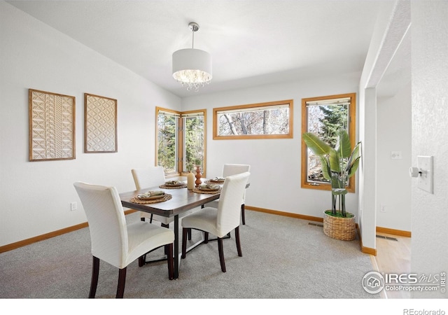 6401 Finch Ct, Fort Collins, CO 80525 - photo 9