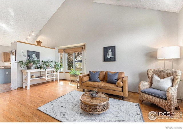 living area featuring rail lighting, lofted ceiling, wood finished floors, and a textured ceiling