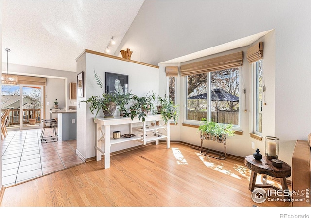 sitting room featuring track lighting, a textured ceiling, vaulted ceiling, and wood finished floors