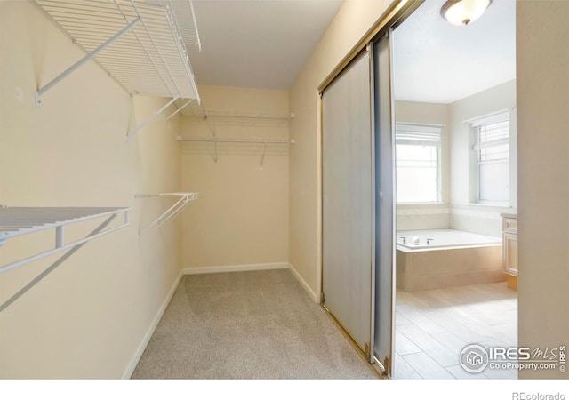 1892 Gunnison Pl, Loveland, CO 80538 - photo 21