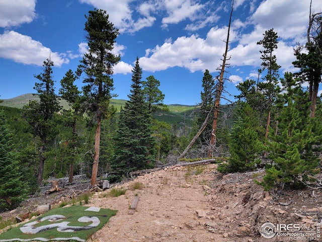 50 Carrier Way, Red Feather Lakes, CO 80545 - photo 4