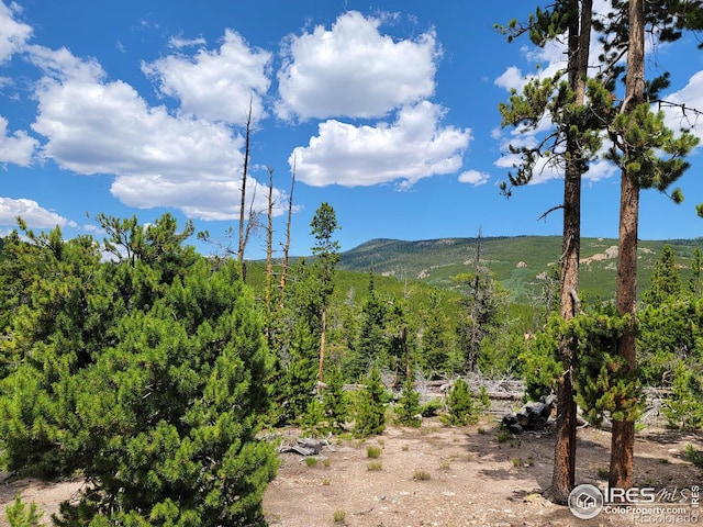 50 Carrier Way, Red Feather Lakes, CO 80545 - photo 5