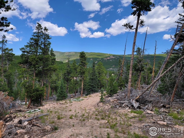50 Carrier Way, Red Feather Lakes, CO 80545 - photo 7