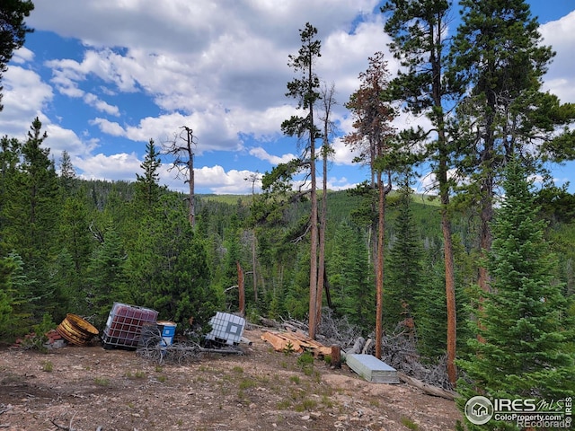 50 Carrier Way, Red Feather Lakes, CO 80545 - photo 11