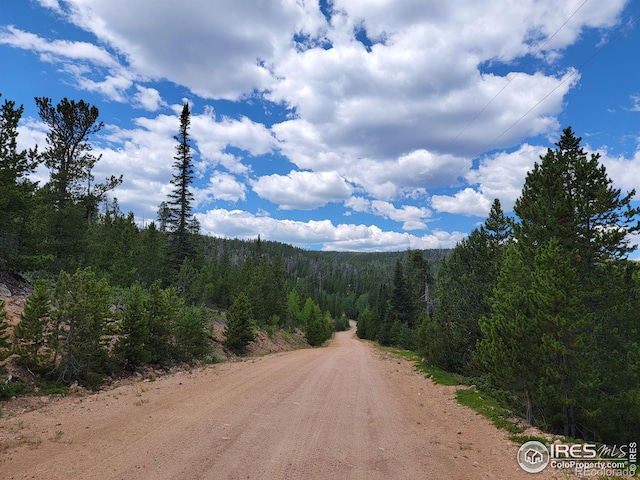 50 Carrier Way, Red Feather Lakes, CO 80545 - photo 27