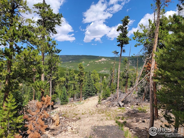 50 Carrier Way, Red Feather Lakes, CO 80545 - photo 3