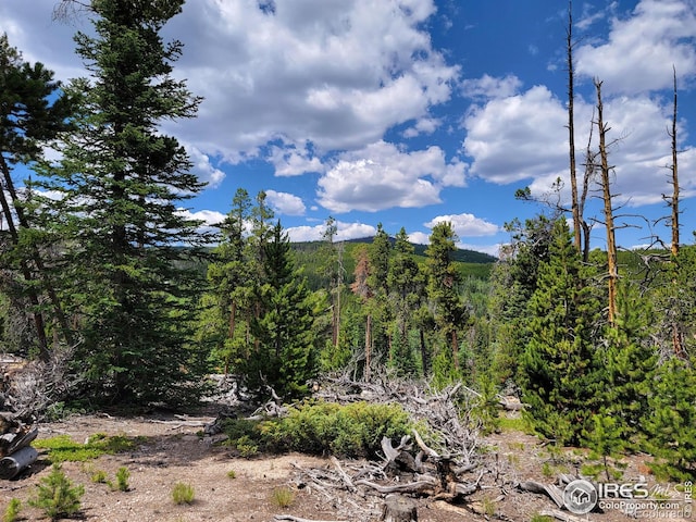 50 Carrier Way, Red Feather Lakes, CO 80545 - photo 6