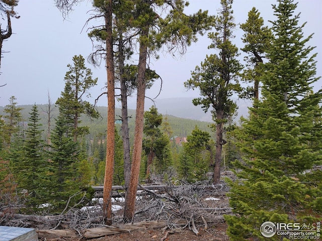50 Carrier Way, Red Feather Lakes, CO 80545 - photo 12