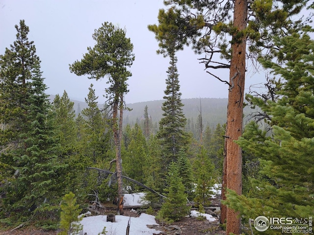 50 Carrier Way, Red Feather Lakes, CO 80545 - photo 17