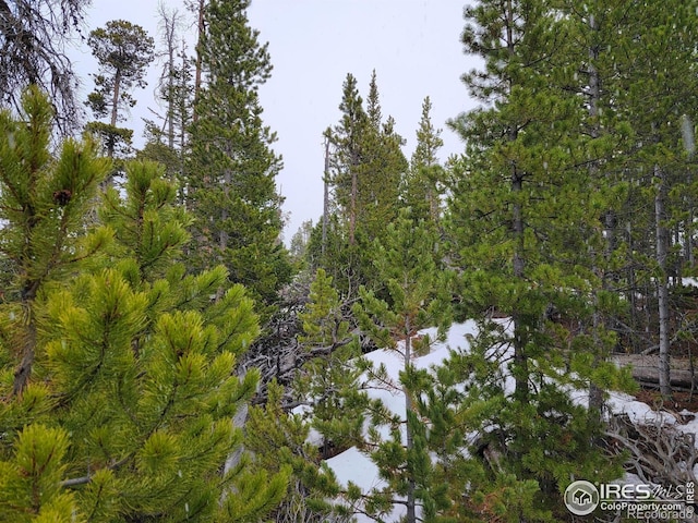 50 Carrier Way, Red Feather Lakes, CO 80545 - photo 19