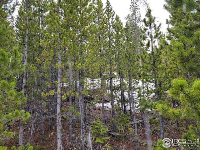 50 Carrier Way, Red Feather Lakes, CO 80545 - photo 20