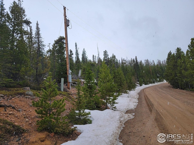 50 Carrier Way, Red Feather Lakes, CO 80545 - photo 22
