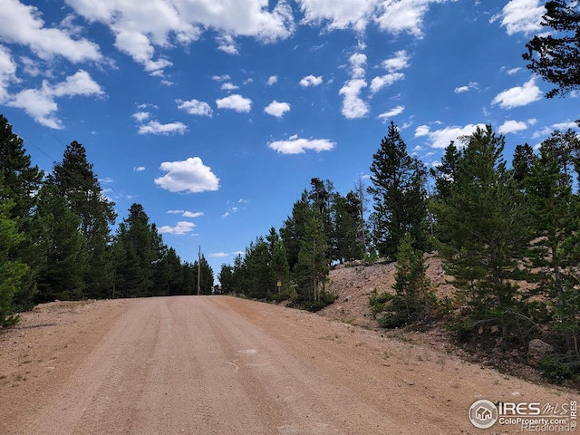 50 Carrier Way, Red Feather Lakes, CO 80545 - photo 26