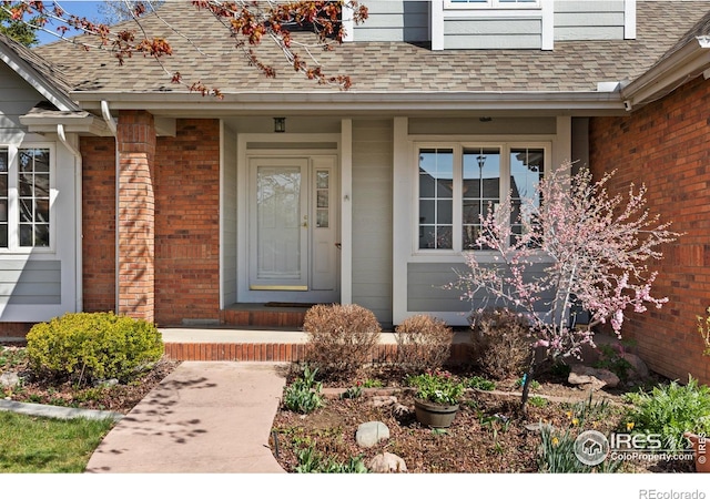 4748 Westbury Dr, Fort Collins, CO 80526 - doorway to property with a porch, roof with shingles, and brick siding