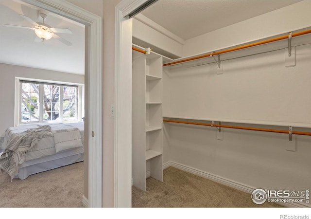 4748 Westbury Dr, Fort Collins, CO 80526 - walk in closet with carpet and a ceiling fan