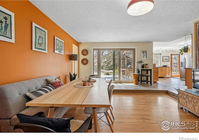 dining room featuring a textured ceiling and wood finished floors