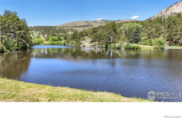 156 Lakeview Dr, Drake, CO 80515