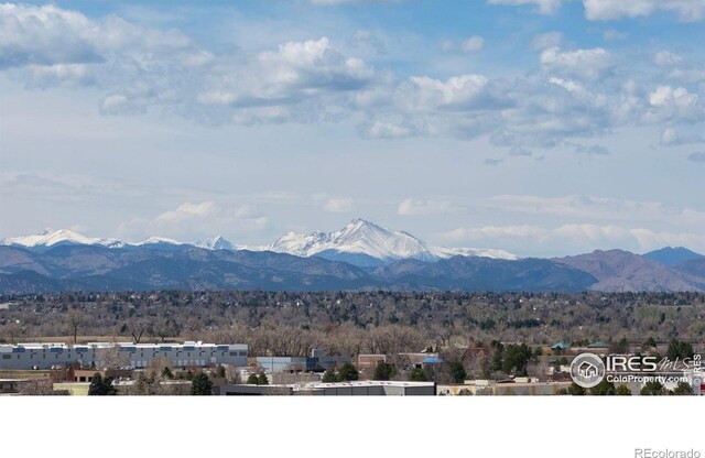 10234 Dillon Rd, Broomfield, CO 80020 - photo 40