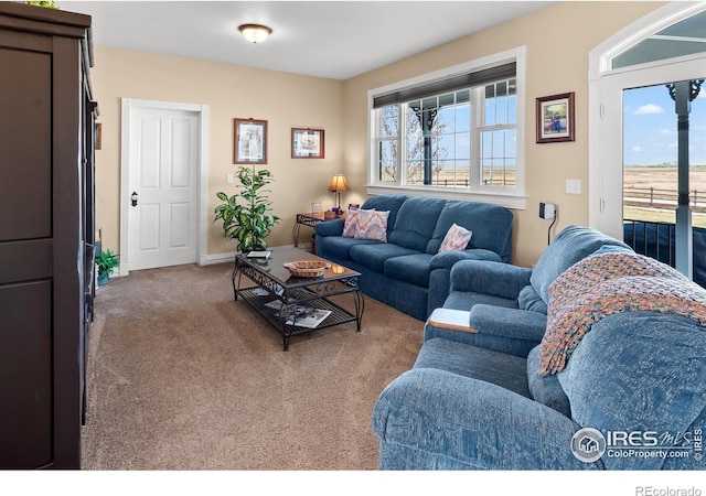 2224 E County Road 30, Fort Collins, CO 80525 - photo 21