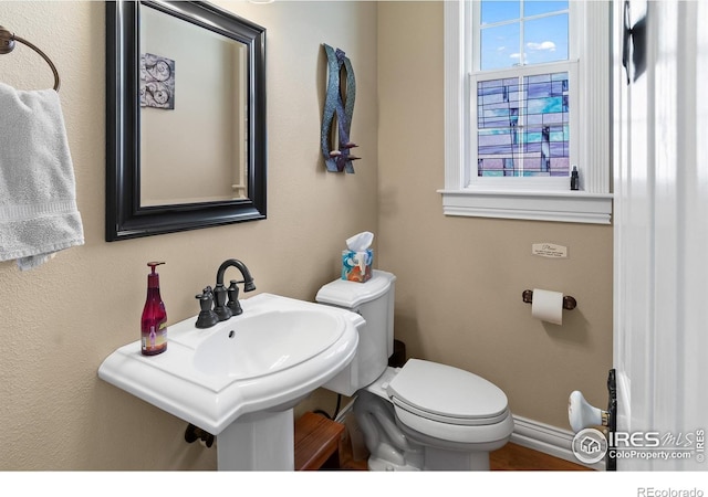 2224 E County Road 30, Fort Collins, CO 80525 - photo 36