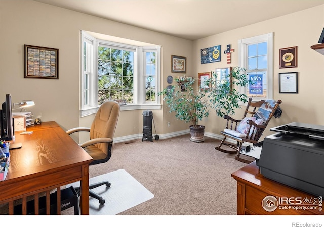2224 E County Road 30, Fort Collins, CO 80525 - photo 22