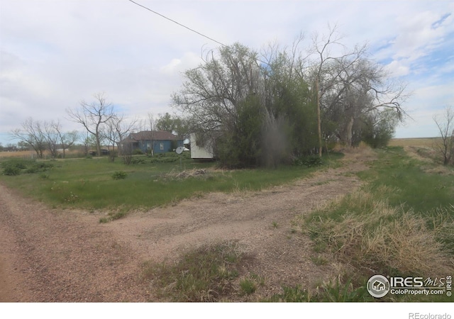 view of yard featuring a rural view