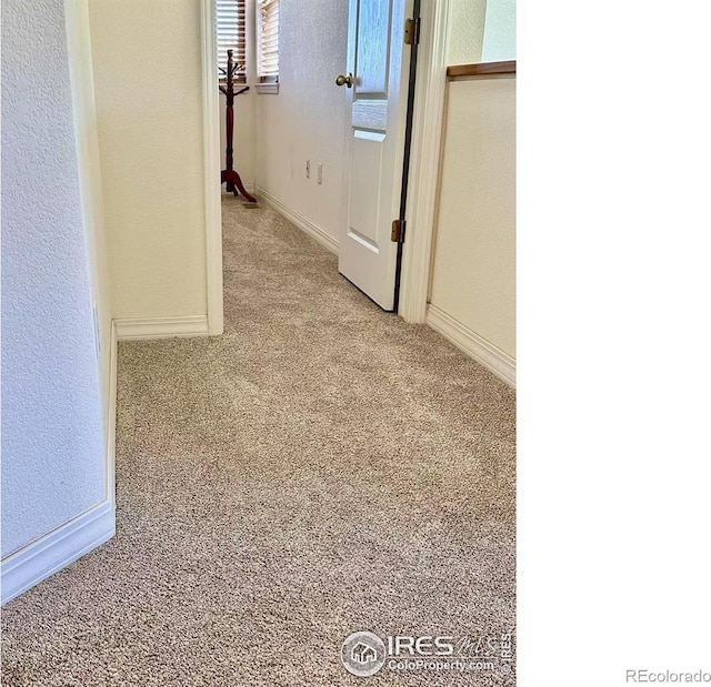 6815 Antigua Dr Unit 78, Fort Collins, CO 80525 - photo 30