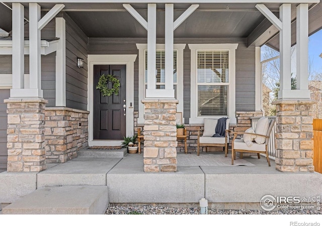 248 Muscovey Ln, Johnstown, CO 80534 - entrance to property featuring stone siding and covered porch