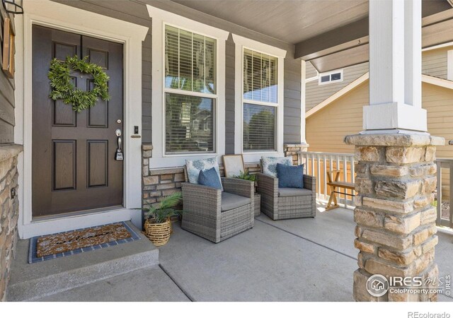 248 Muscovey Ln, Johnstown, CO 80534 - photo 4